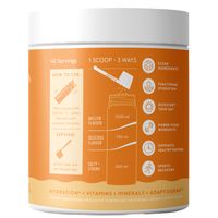 SaltWTR Wild Orange - Immune Support Hydration - Tub